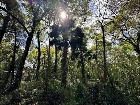 tbd SW 5th Ln, Ocala, FL 34481 photo 15