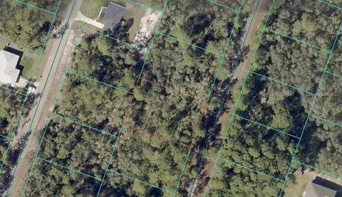 00 Fisher Trace Dr, Ocklawaha, FL 32179