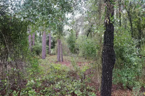 00 NW Beuna Vista Rd, Dunnellon, FL 34431