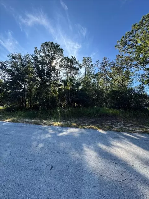 tbd Hemlock Loop Dr, Ocala, FL 34472