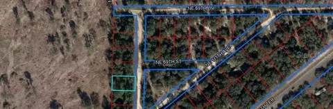 Ne 110 Court, Bronson, FL 32621