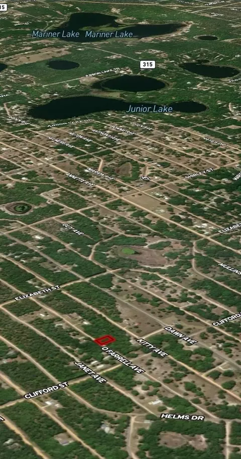 lot32 Offarrel Dr, Interlachen, FL 32148 photo 4