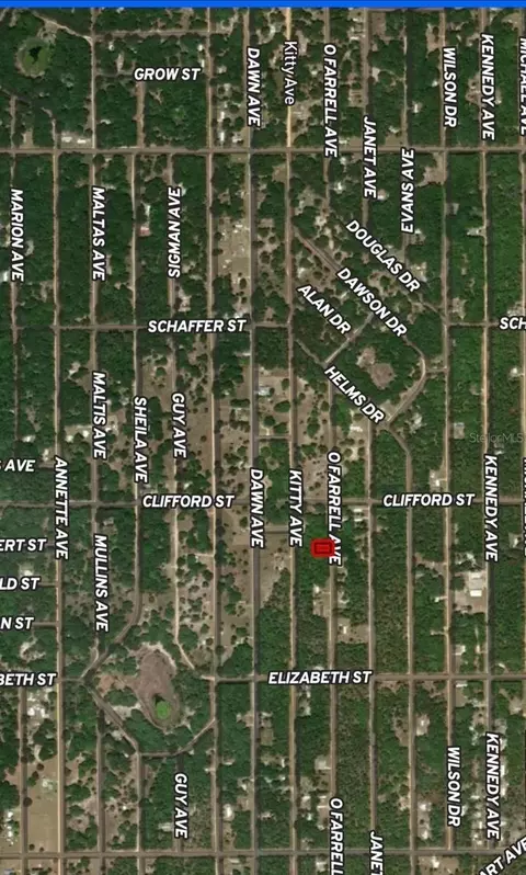 lot32 Offarrel Dr, Interlachen, FL 32148 photo 2
