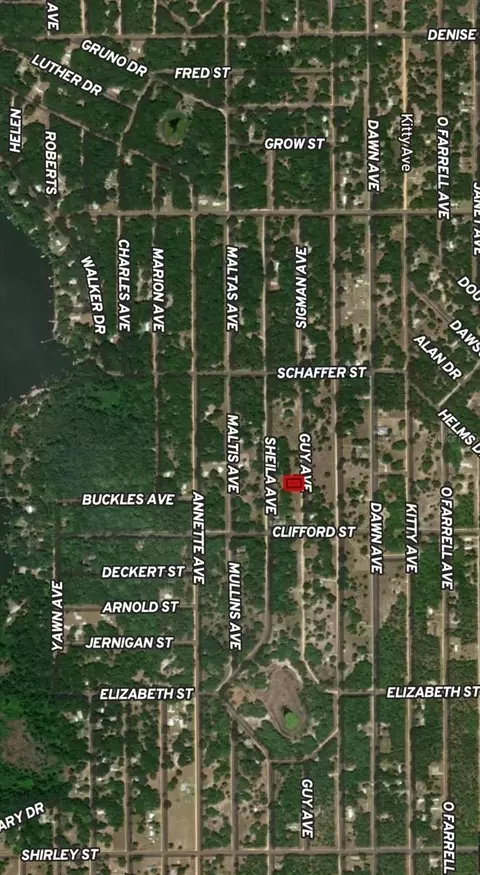 lot24 Guy Ave, Interlachen, FL 32148 photo 2