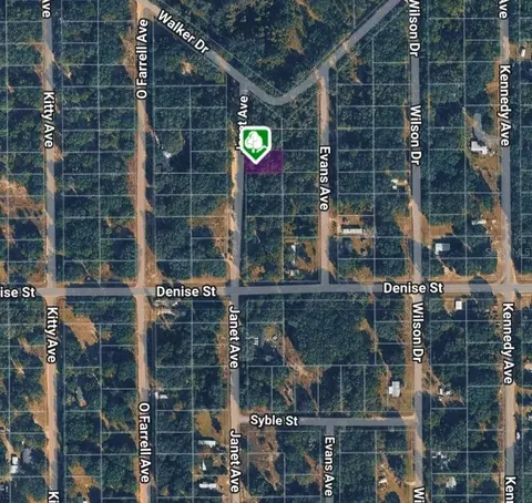 lot3 Janet Ave, Interlachen, FL 32148 photo 4