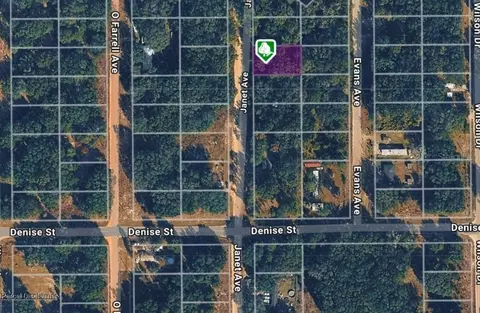 lot3 Janet Ave, Interlachen, FL 32148 photo 3