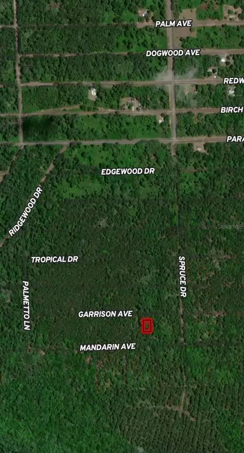 131 Garrison Ave, Georgetown, FL 32139 photo 2