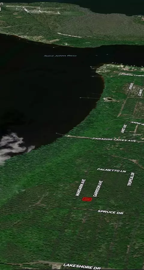 131 Garrison Ave, Georgetown, FL 32139 photo 3