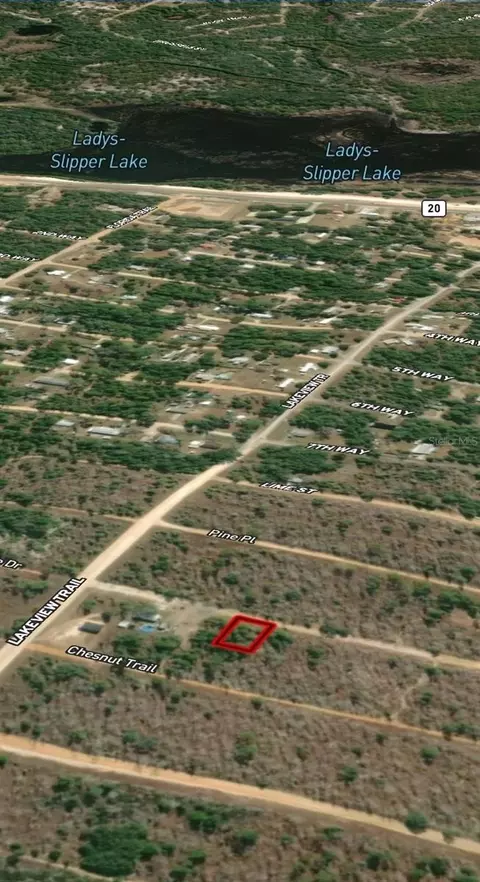 lot45 46 Maple Dr, Interlachen, FL 32148 photo 3
