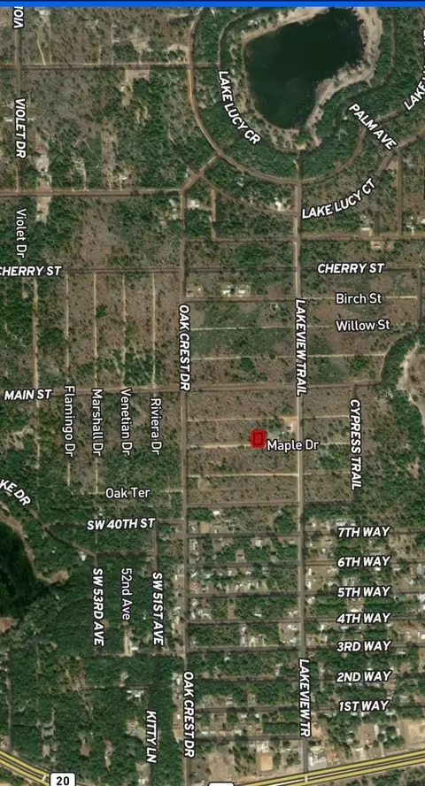 lot45 46 Maple Dr, Interlachen, FL 32148 photo 4