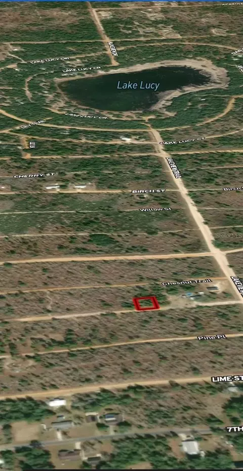 lot45 46 Maple Dr, Interlachen, FL 32148 photo 5