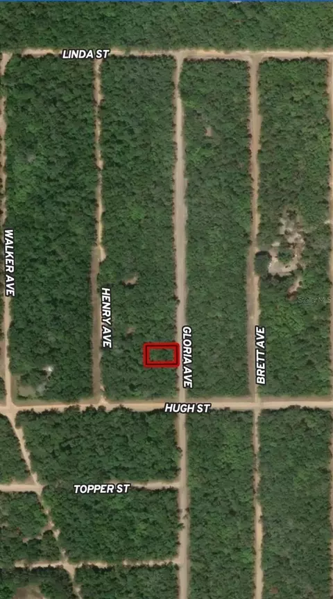 lot20 Gloria Ave, Interlachen, FL 32148
