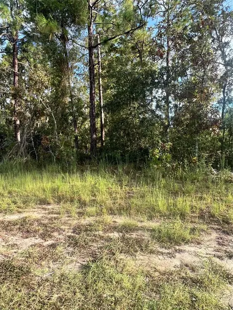 Hemlock Trl, Ocala, FL 34472