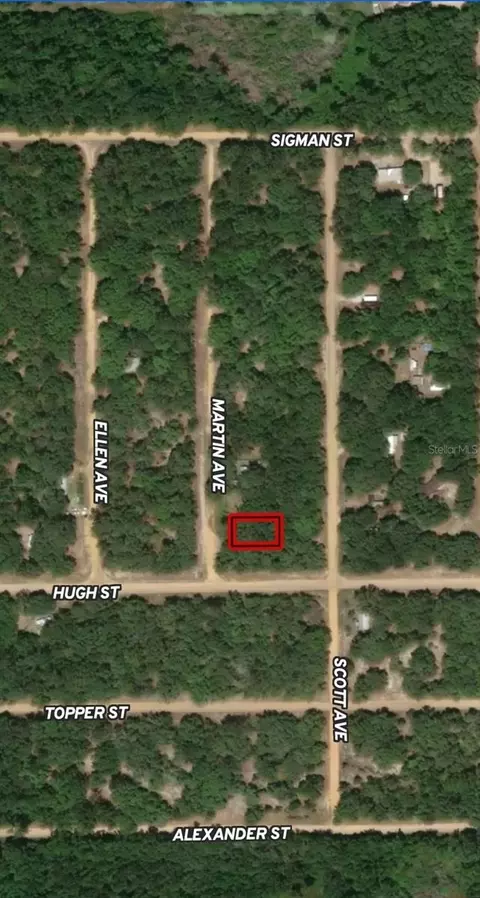 lot13 Martin Ave, Interlachen, FL 32148