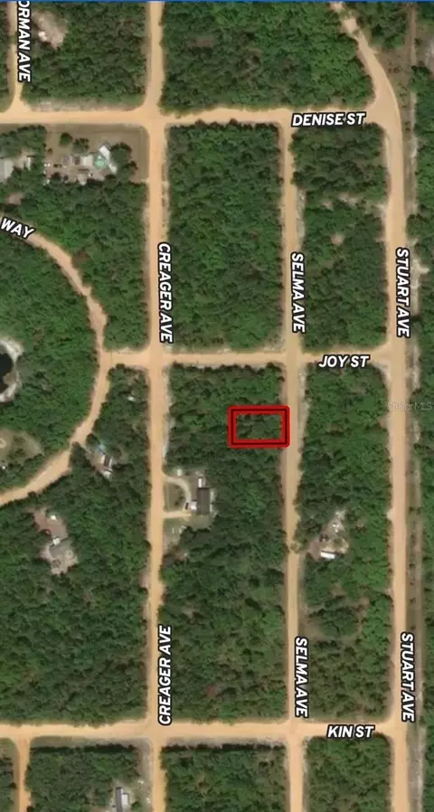 lot19 Selma Ave, Interlachen, FL 32148