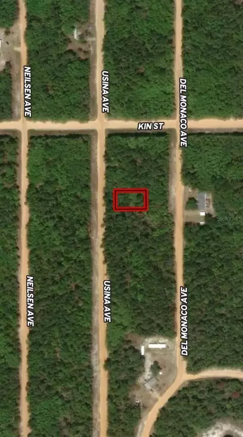 lot4 Usina Ave, Interlachen, FL 32148