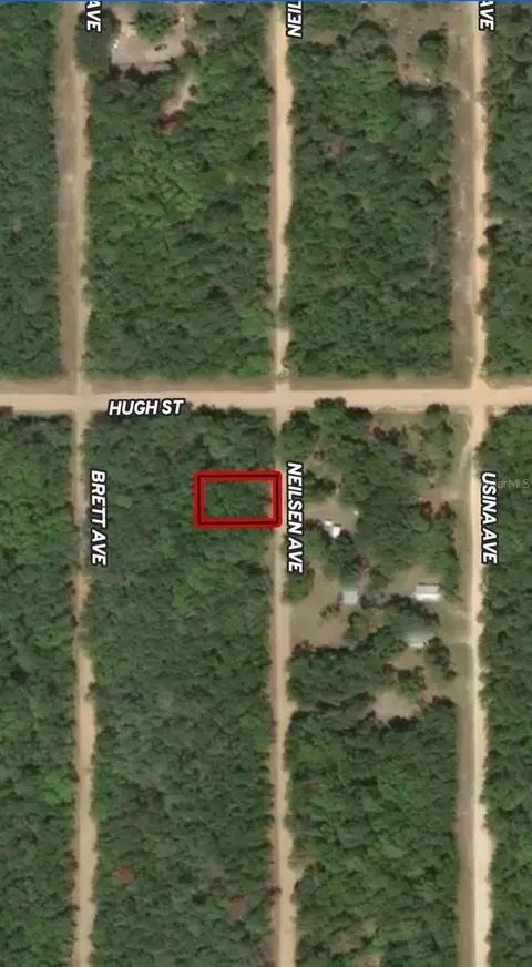 lot35 Neilsen Ave, Interlachen, FL 32148