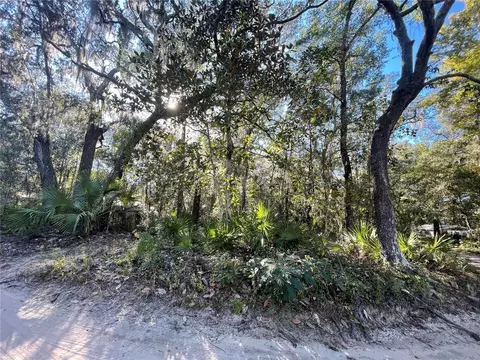tbd NE 199th Pl, Fort Mc Coy, FL 32134