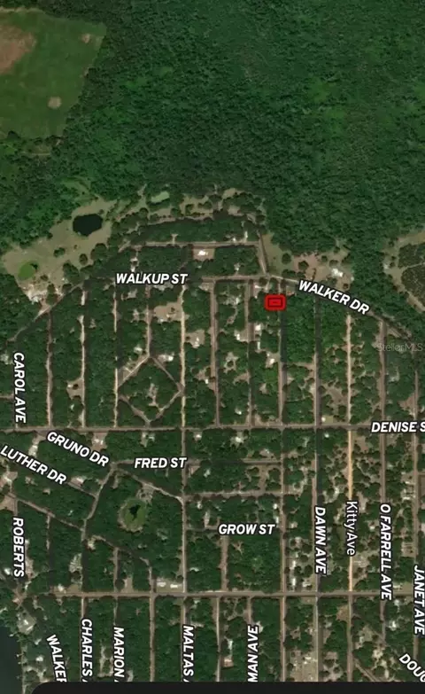 lot34 Lenore Ave, Interlachen, FL 32148 photo 5
