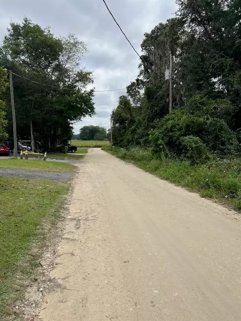000 NE 40th Pl, Williston, FL 32696 photo 3
