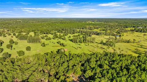 17748 N Hwy 329, Reddick, FL 32686 photo 3