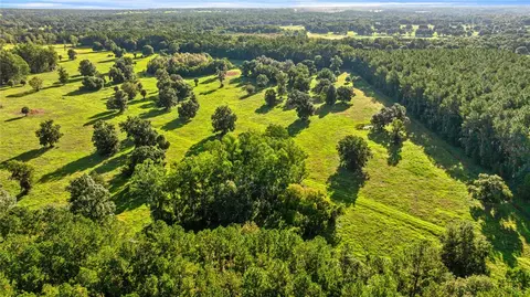 17748 N Hwy 329, Reddick, FL 32686 photo 8