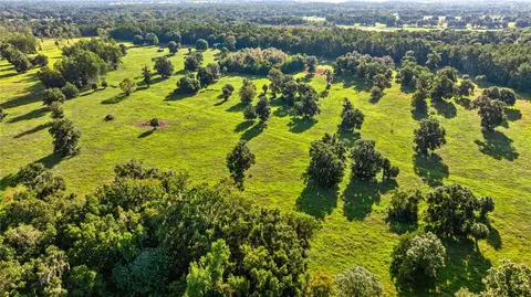 17748 N Hwy 329, Reddick, FL 32686 photo 9