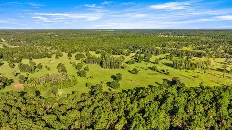 17748 N Hwy 329, Reddick, FL 32686 photo 4
