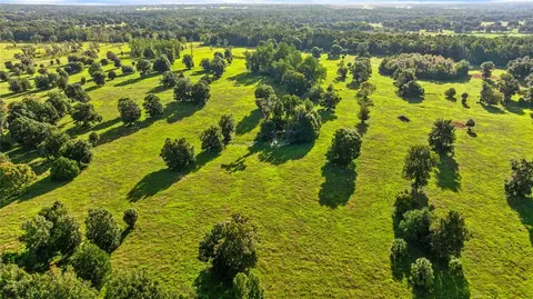 17748 N Hwy 329, Reddick, FL 32686 photo 10