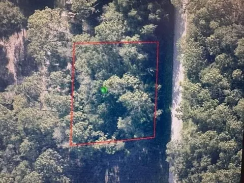 3261 E Anderson St, Inverness, FL 34453