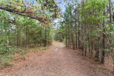 Other - 15600 NW 185th St, Williston, FL 32696 photo 21 of 21