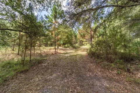 Exterior - 15600 NW 185th St, Williston, FL 32696 photo 30 of 32