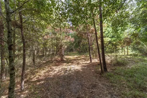 Other - 15600 NW 185th St, Williston, FL 32696 photo 20 of 21