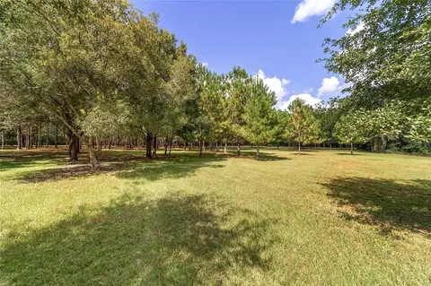 Exterior - 15600 NW 185th St, Williston, FL 32696 photo 29 of 32