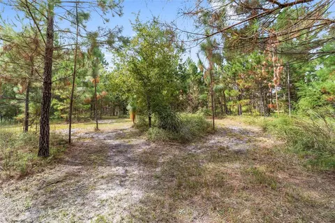 Exterior - 15600 NW 185th St, Williston, FL 32696 photo 31 of 32