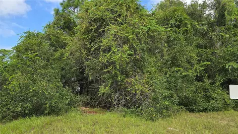 2323 S Hicks Grove Rd, Inverness, FL 34450
