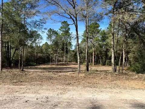 lot103 SW 60th Lane Rd, Ocala, FL 34481