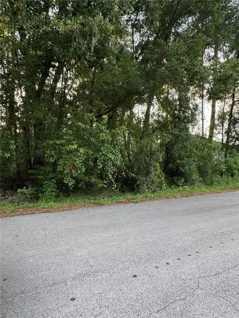tbd SE 158th Pl, Summerfield, FL 34491