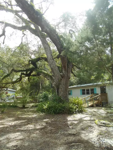20425 NE 143rd St, Salt Springs, FL 32134