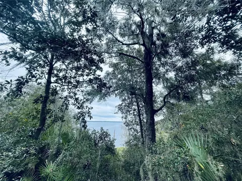 tbd NE 245th Street Rd, Fort Mc Coy, FL 32134