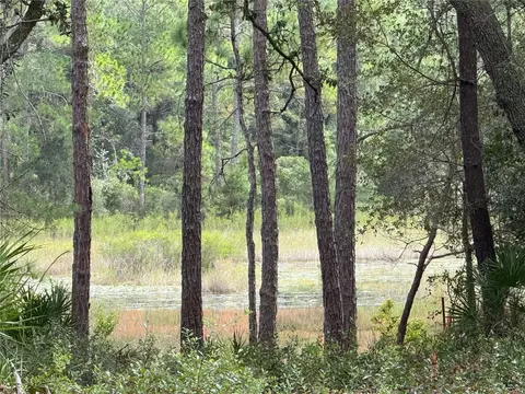 0 NE 114th Avenue Rd, Fort Mc Coy, FL 32134