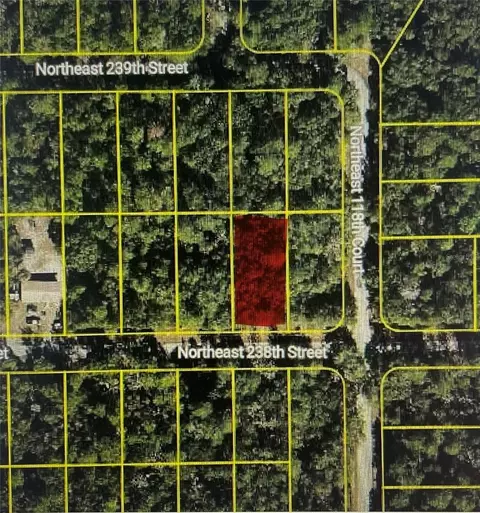 tbd NE 238th St, Fort Mc Coy, FL 32134