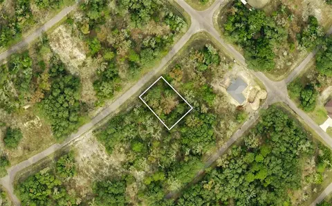 tbd Guava Place - Lot 3 Dr, Ocklawaha, FL 32179