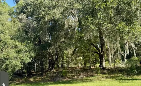 NW 148th Lane, Williston, FL 32696 photo 4
