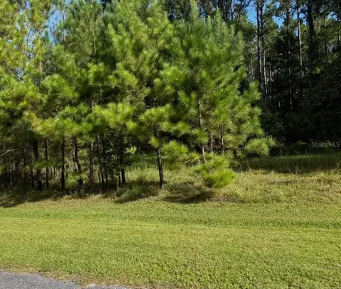 NW 148th Lane, Williston, FL 32696 photo 3