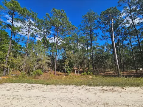 2171 SE 148th Ct, Morriston, FL 32668
