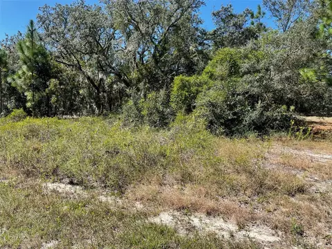 lot2 SW Winding Hills Rd, Dunnellon, FL 34431
