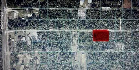 tbd NE 235th St #ROAD 12, Fort Mc Coy, FL 32134