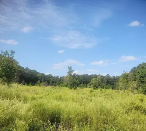 2826 NW 174th St, Newberry, FL 32669