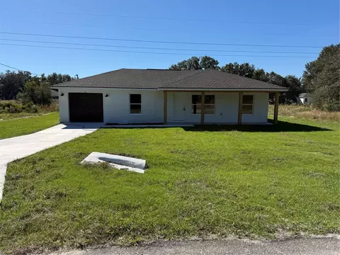 14 Guava Trak, Ocklawaha, FL 32179